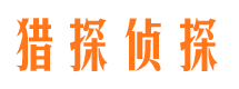 双城市婚外情调查